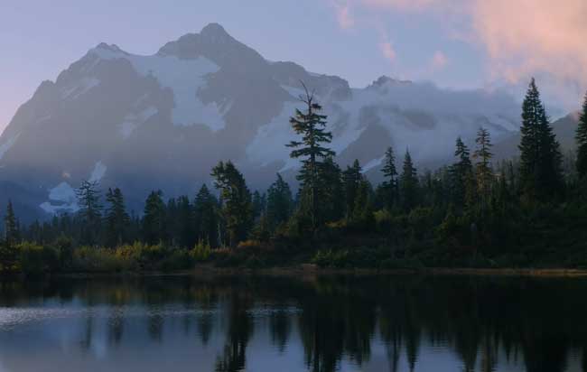 8 Hours of Birds Singing