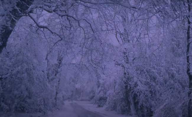 Blizzard Sounds for Sleep